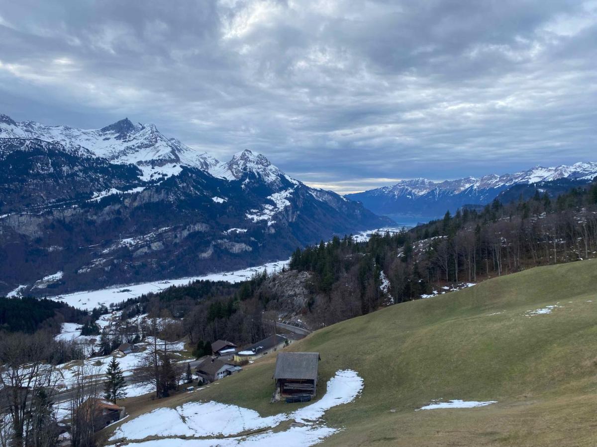 Spring Inn Apartments Meiringen Exteriör bild