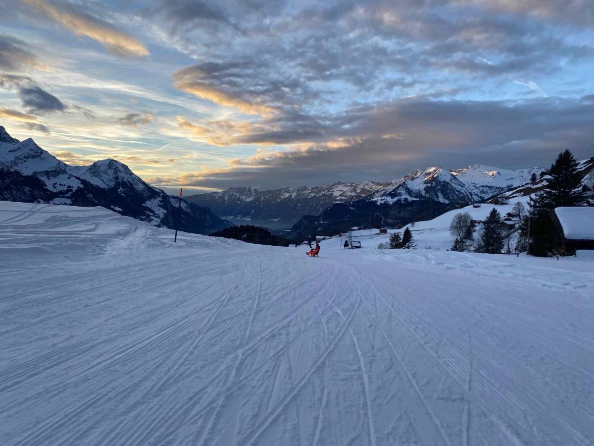 Spring Inn Apartments Meiringen Exteriör bild